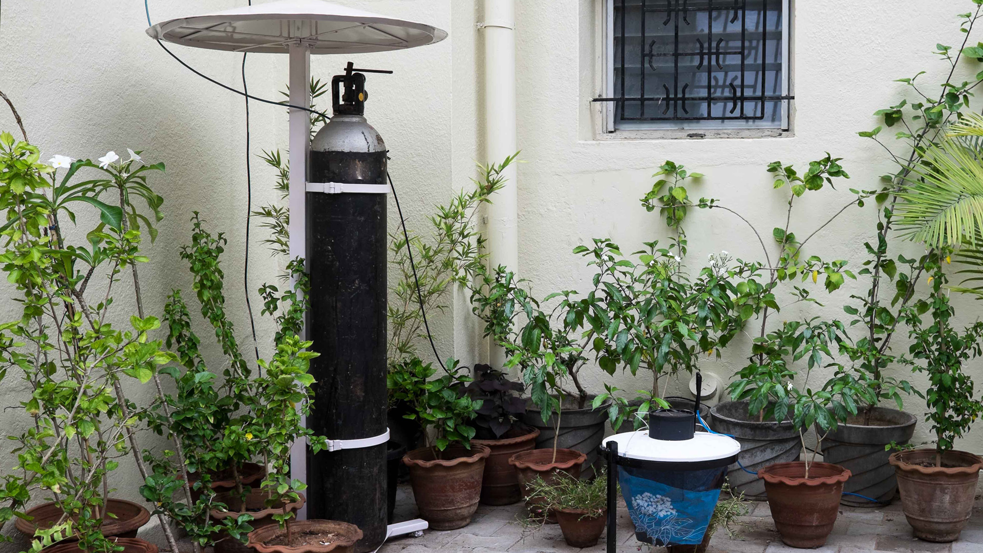 mosquito control system for your backyard